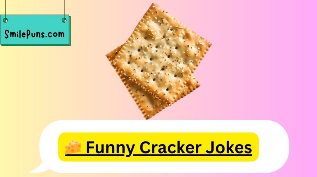 š§ Funny Cracker Jokes