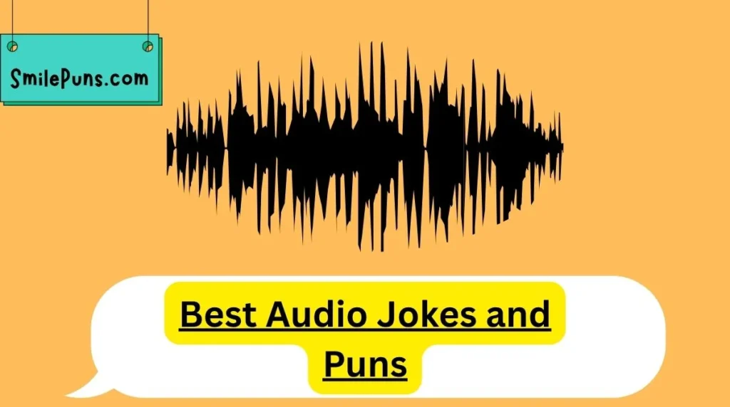Best Audio Jokes and Puns
