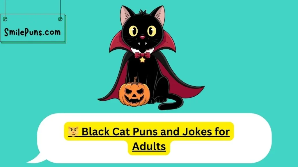 😼 Black Cat Puns and Jokes for Adults
