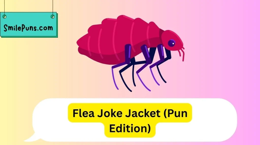 Flea Joke Jacket (Pun Edition)