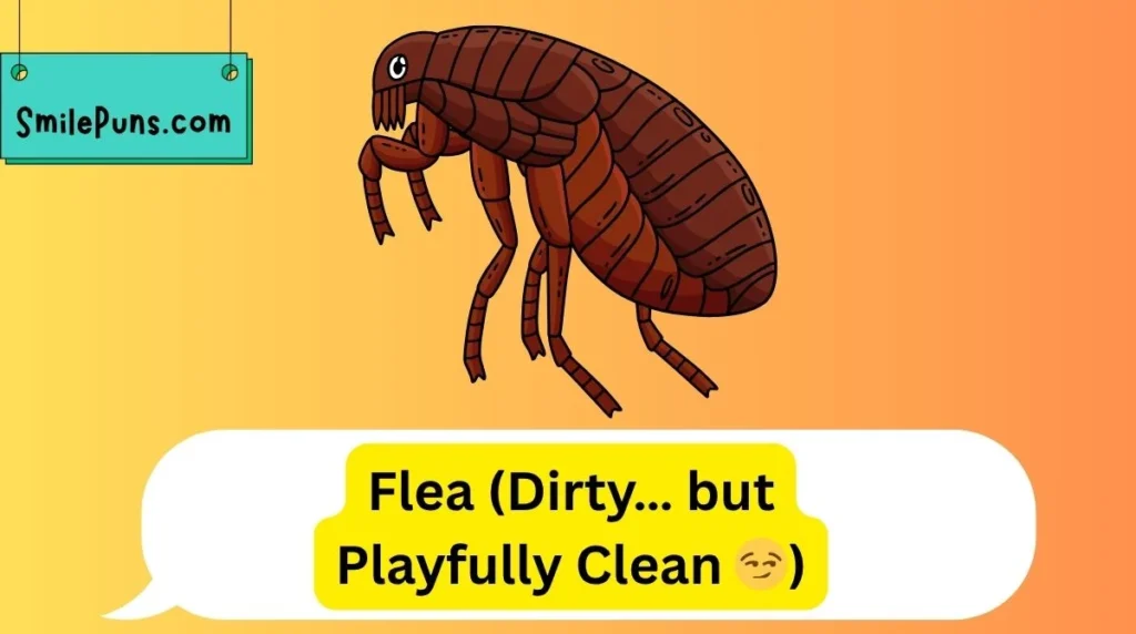 Dirty… but Playfully Clean 😏