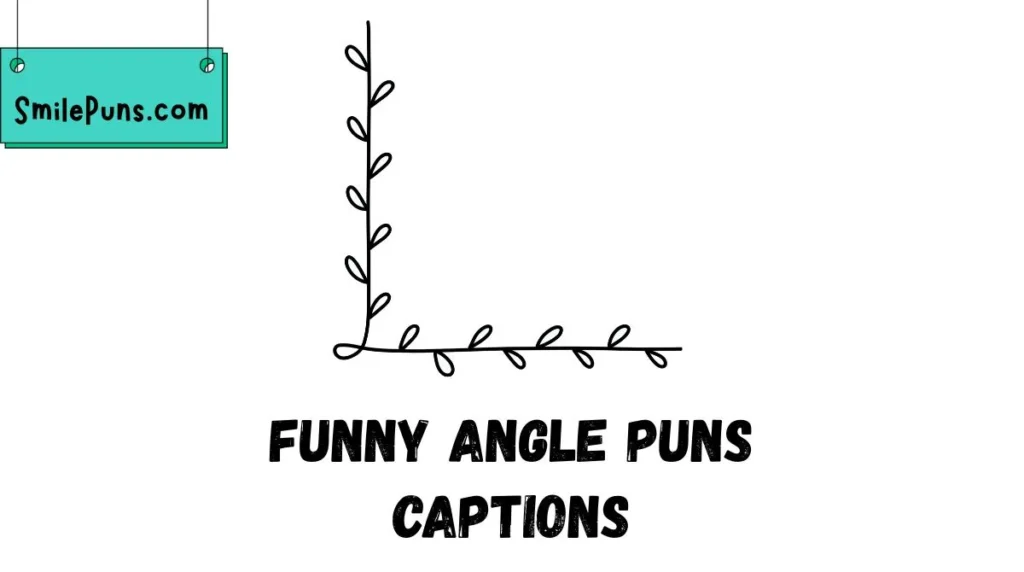 Funny Angle Puns Captions