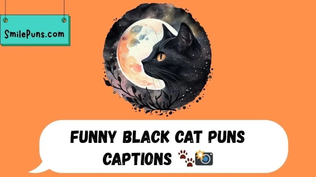 Funny Black Cat Puns Captions 🐾📸