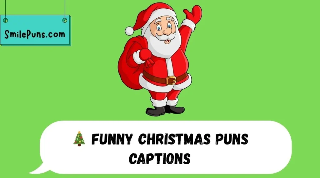🎄 Funny Christmas Puns Captions
