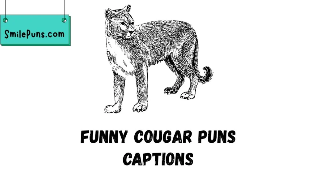 Funny Cougar Puns Captions