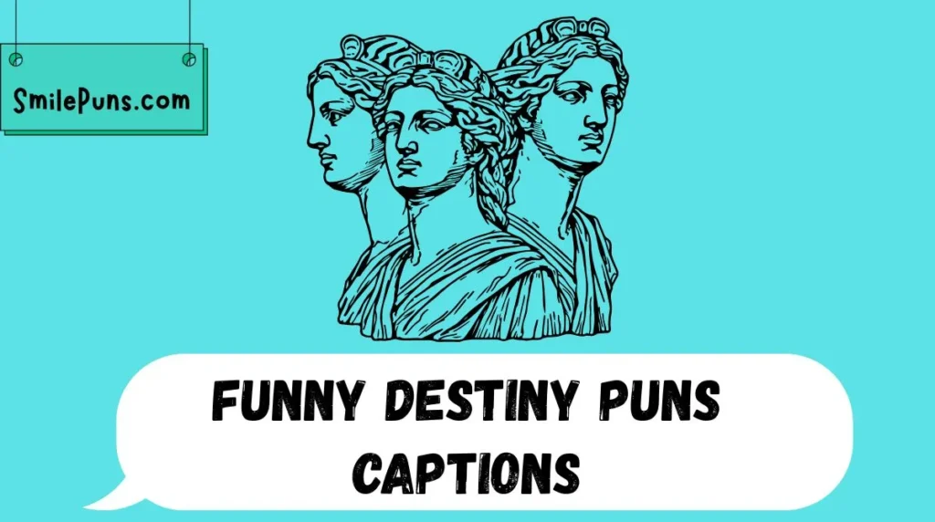 Funny Destiny Puns Captions