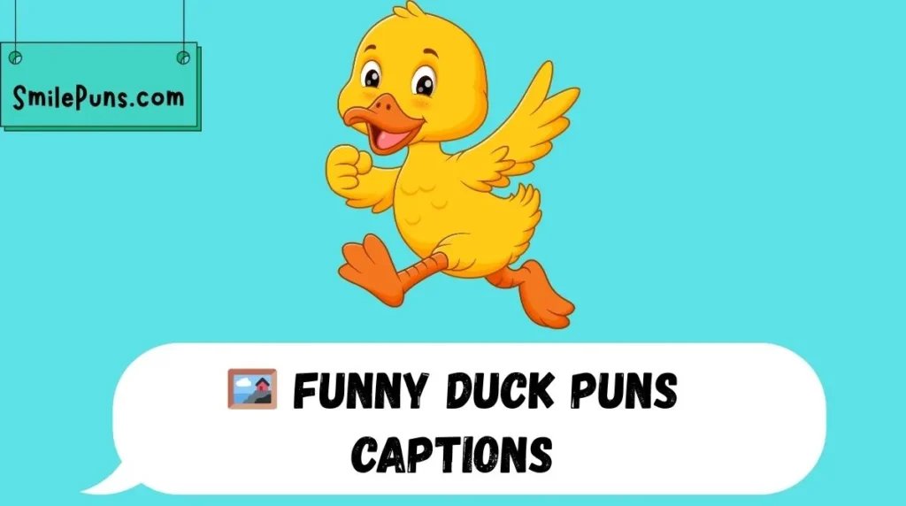 🖼 Funny Duck Puns Captions