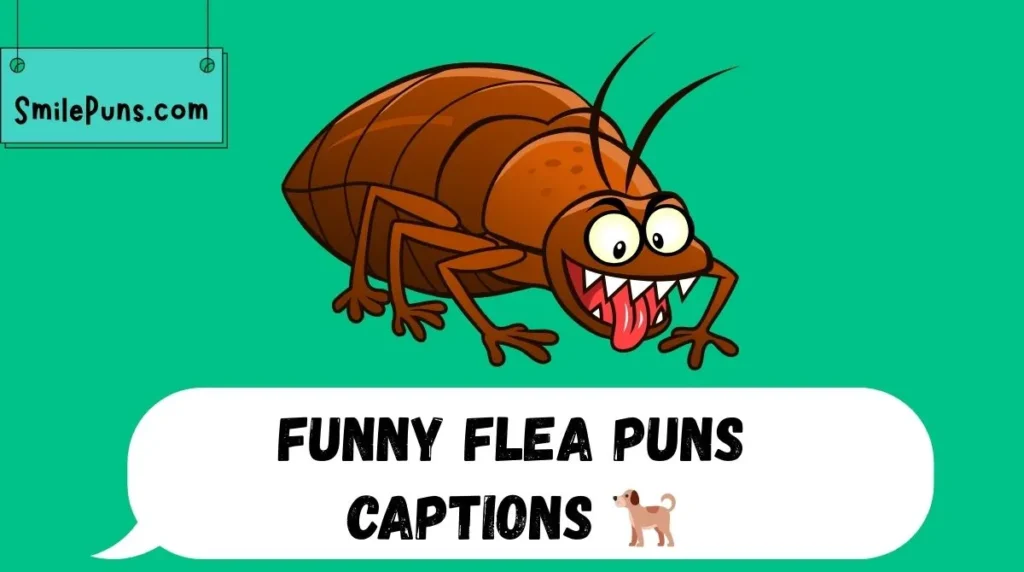 Funny Flea Puns Captions 🐕