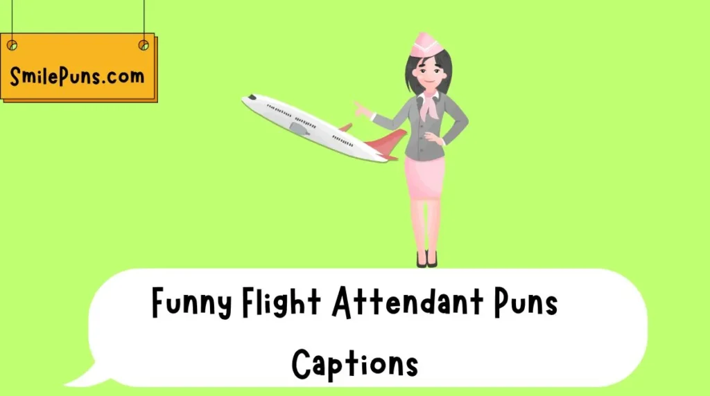 Funny Flight Attendant Puns Captions