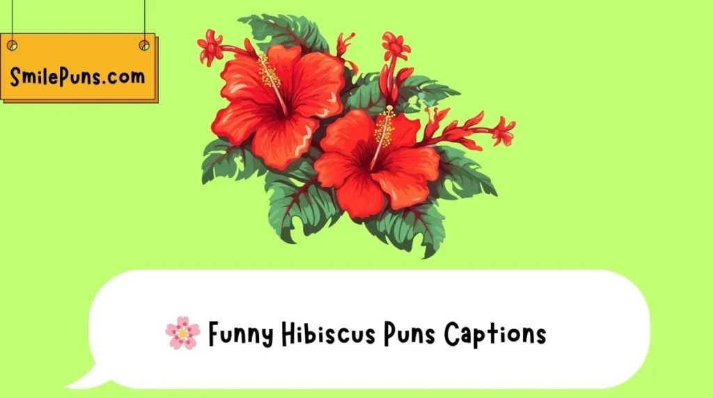 Funny Hibiscus Puns Captions