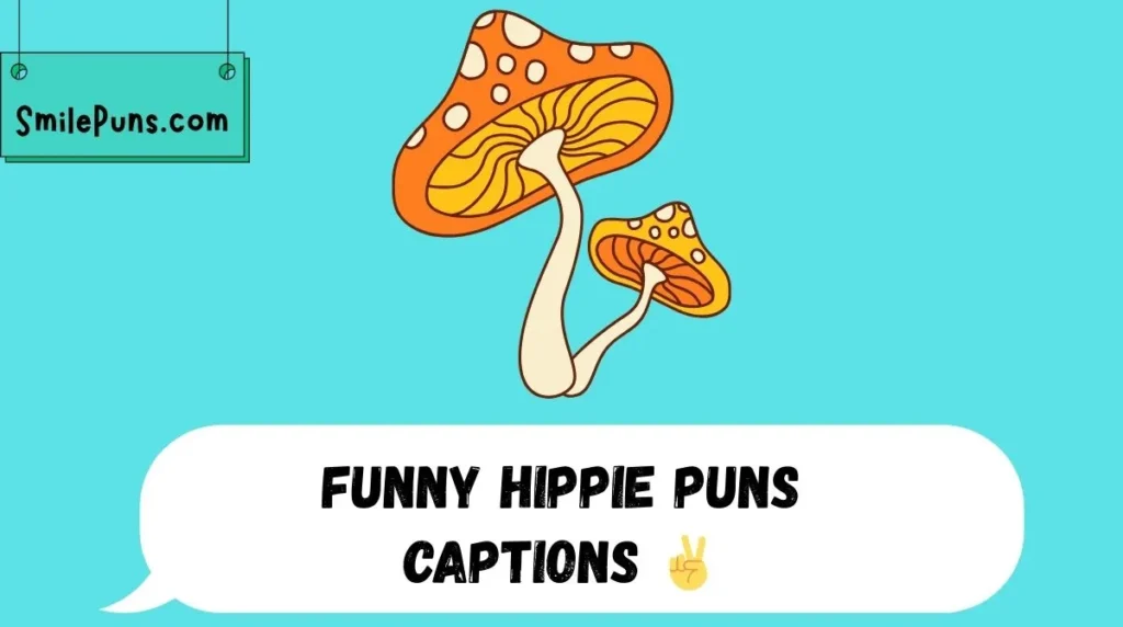 Funny Hippie Puns Captions ✌️