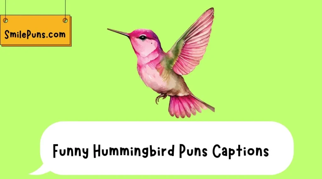 Funny Hummingbird Puns Captions