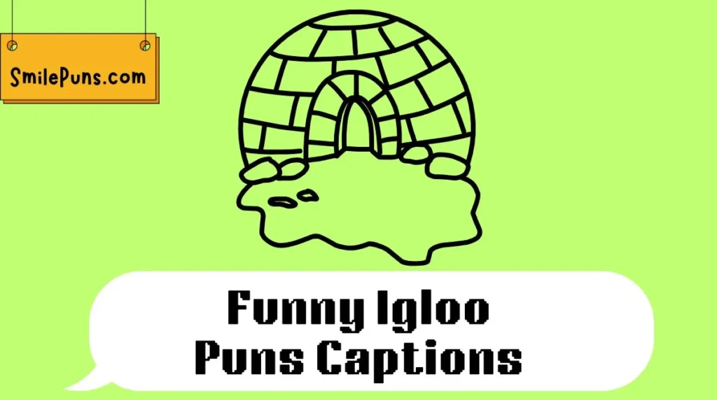 Funny Igloo Puns Captions