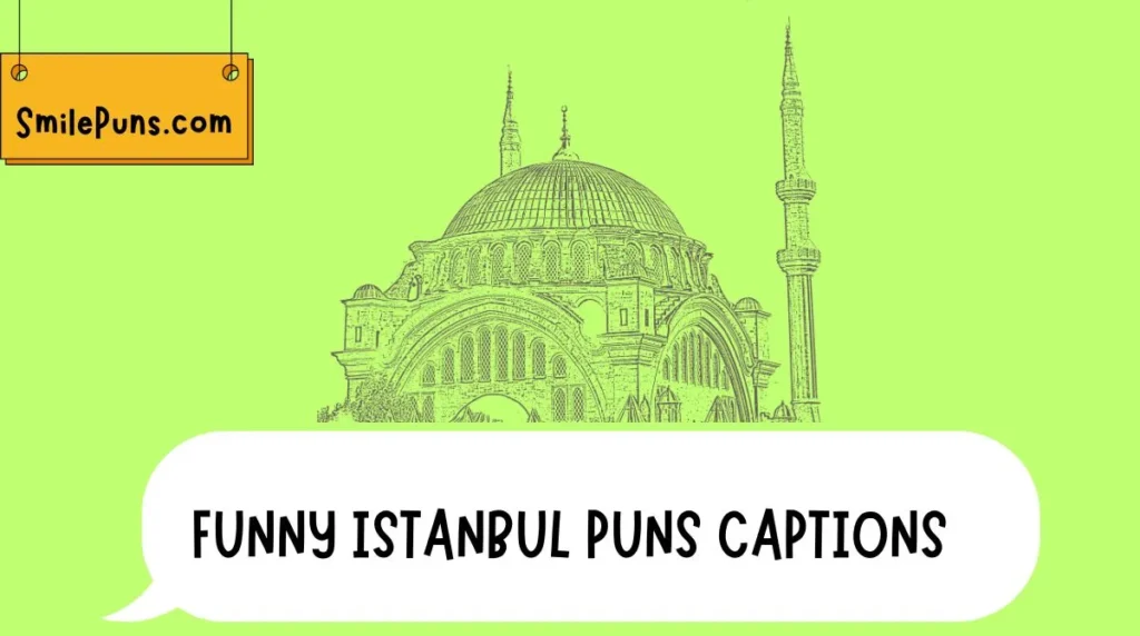 Funny Istanbul Puns Captions