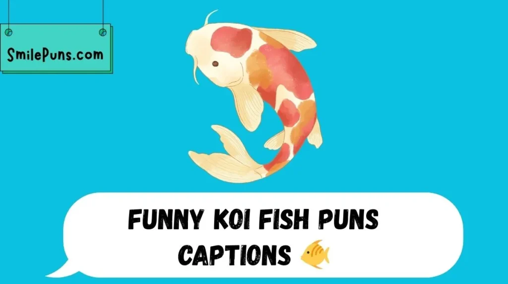 Funny Koi Fish Puns Captions 🐠