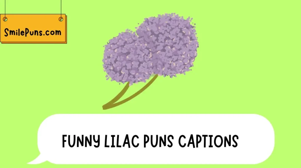 Funny Lilac Puns Captions