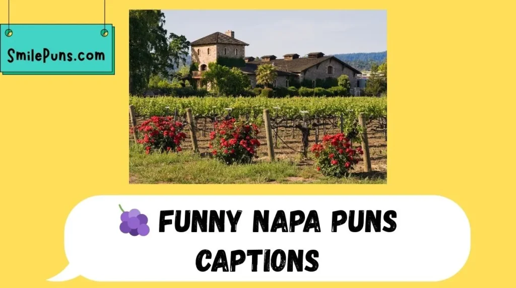 🍇 Funny Napa Puns Captions