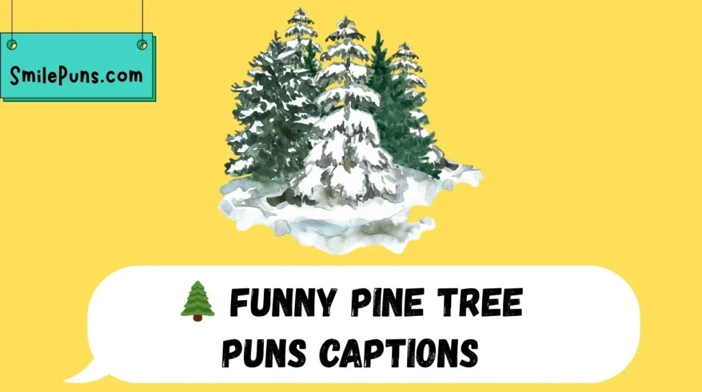 🌲 Funny Pine Tree Puns Captions