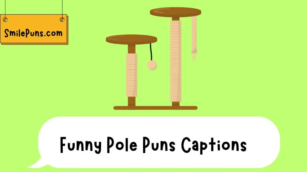 Funny Pole Puns Captions