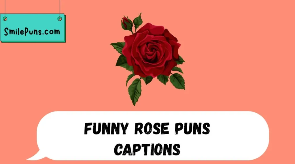 Funny Rose Puns Captions