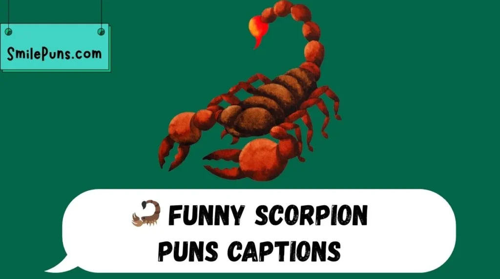 🦂 Funny Scorpion Puns Captions