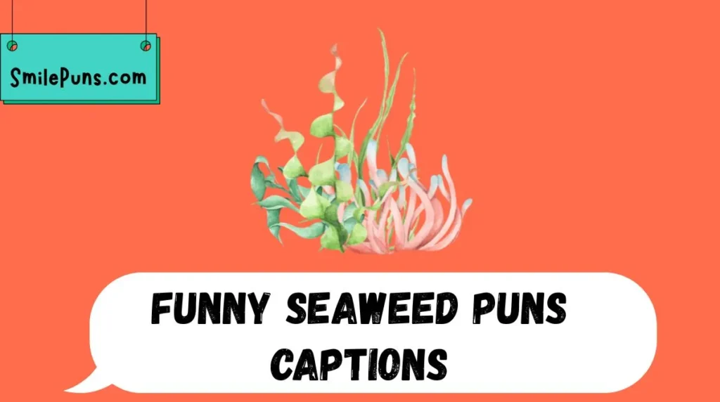 Funny Seaweed Puns Captions