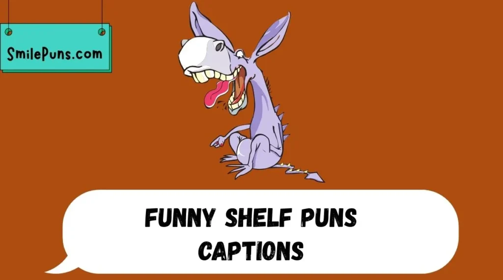 Funny Shelf Puns Captions