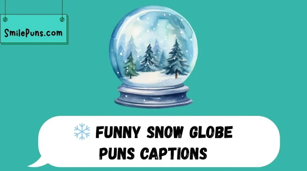 ❄️ Funny Snow Globe Puns Captions