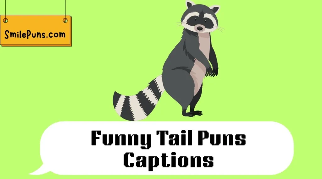 Funny Tail Puns Captions