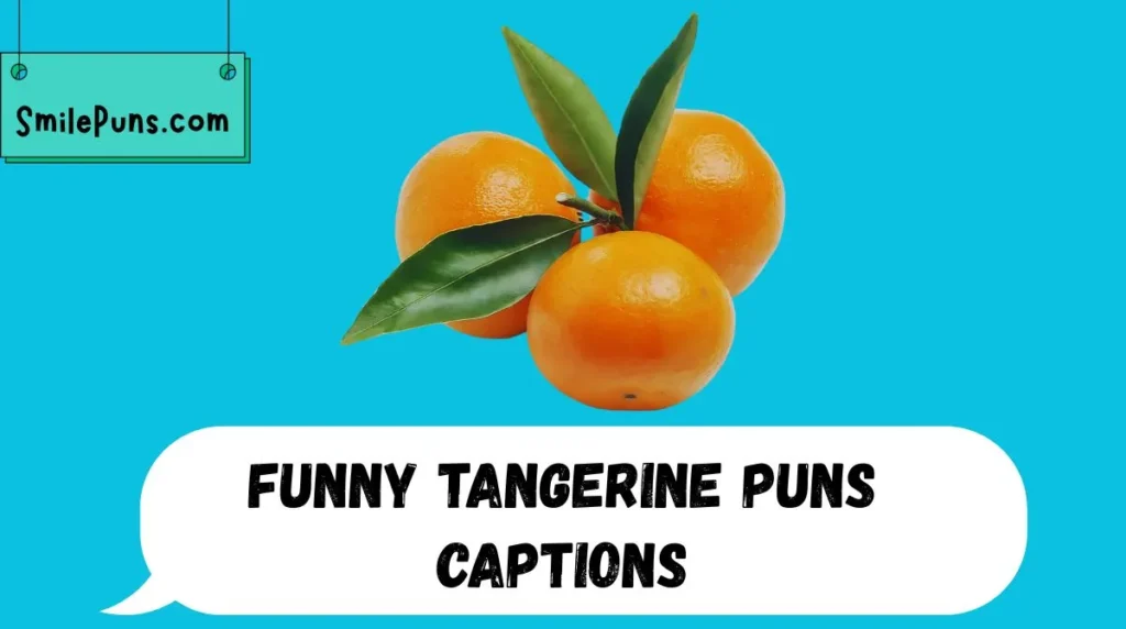 Funny Tangerine Puns Captions