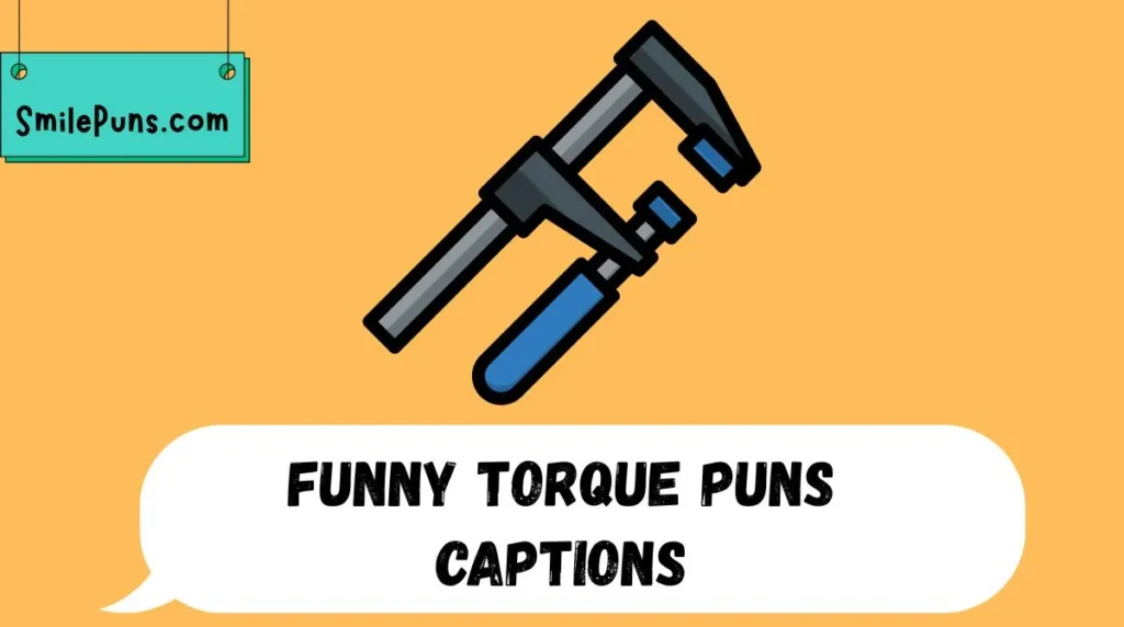 Funny Torque Puns Captions