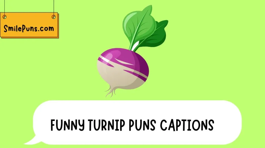 Funny Turnip Puns Captions