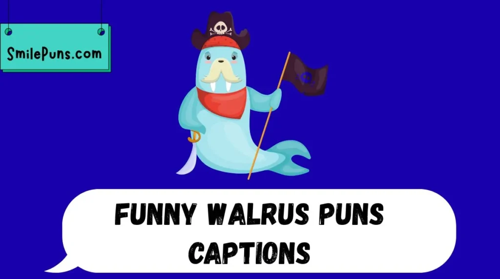 Funny Walrus Puns Captions