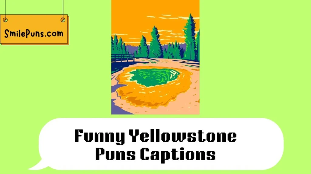 Funny Yellowstone Puns Captions