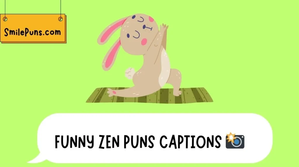 Funny Zen Puns Captions 📸