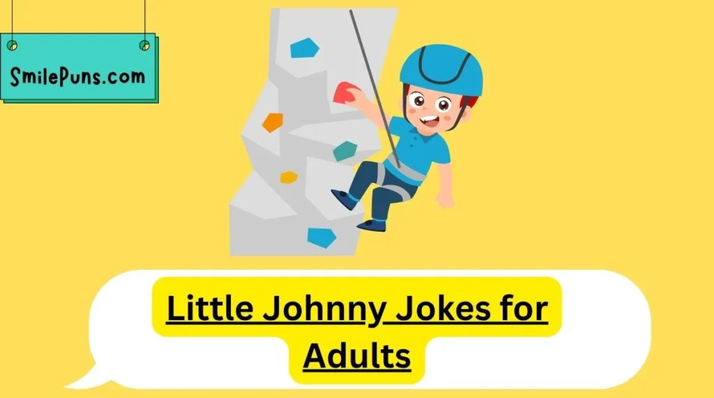 Little Johnny Jokes for Adults