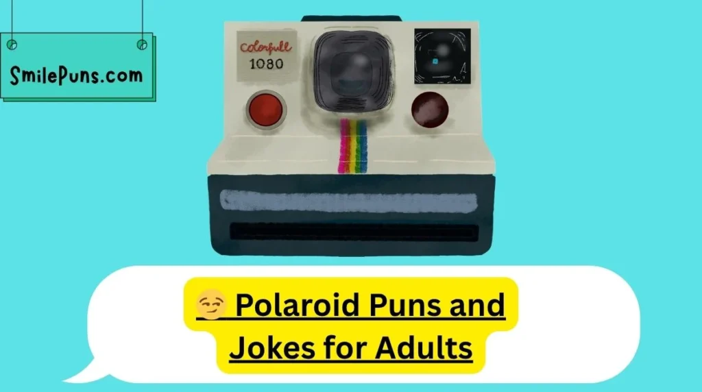 😏 Polaroid Puns and Jokes for Adults