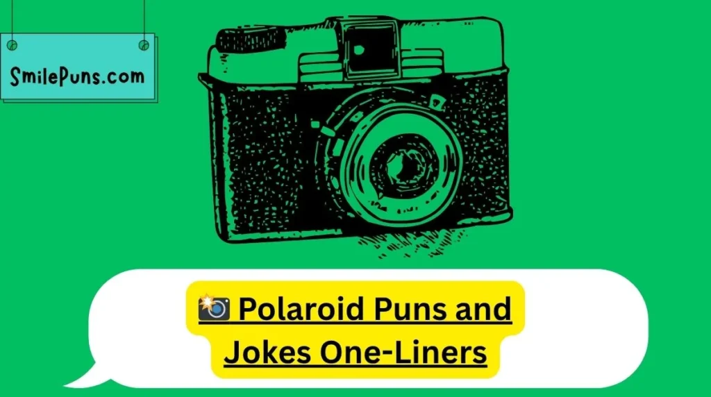 📸 Polaroid Puns and Jokes One-Liners