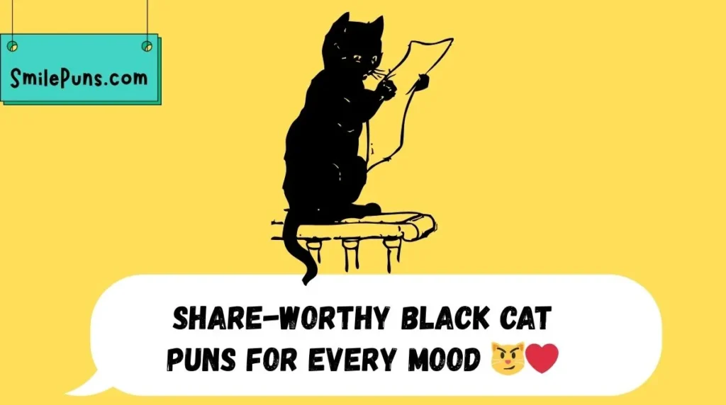 Share-Worthy Black Cat Puns for Every Mood 😼❤️