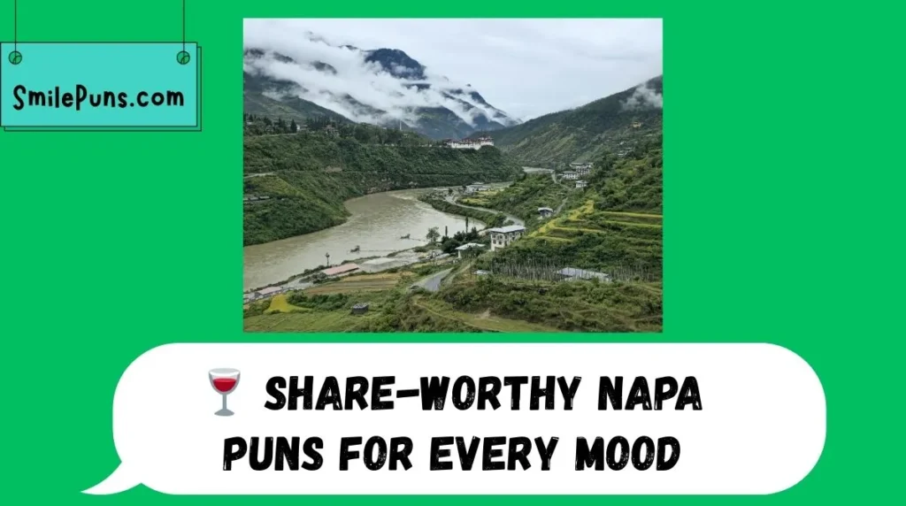 🍷 Share-Worthy Napa Puns for Every Mood