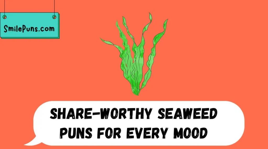 Share-Worthy Seaweed Puns for Every Mood