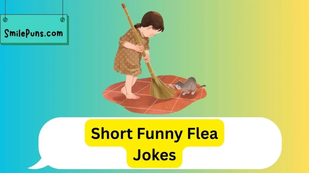 Short Funny Flea Jokes