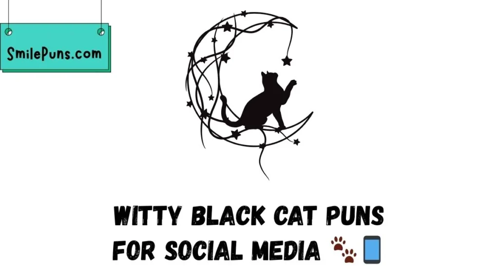 Witty Black Cat Puns for Social Media 🐾📱