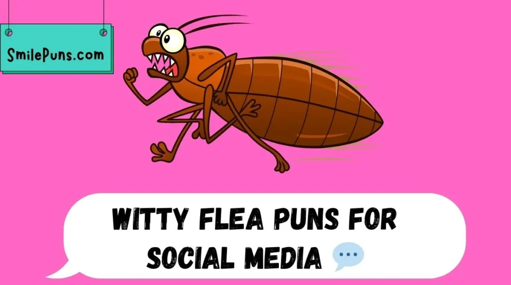 Witty Flea Puns for Social Media 💬