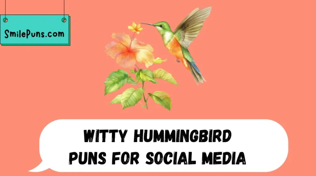 Witty Hummingbird Puns for Social Media