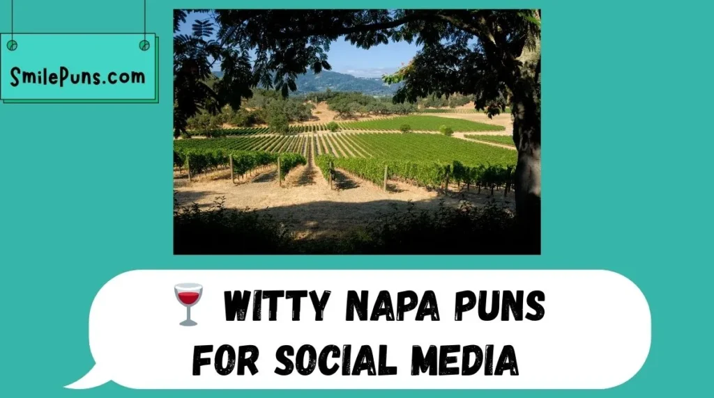🍷 Witty Napa Puns for Social Media