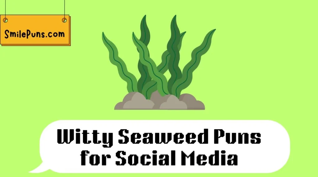 Witty Seaweed Puns for Social Media