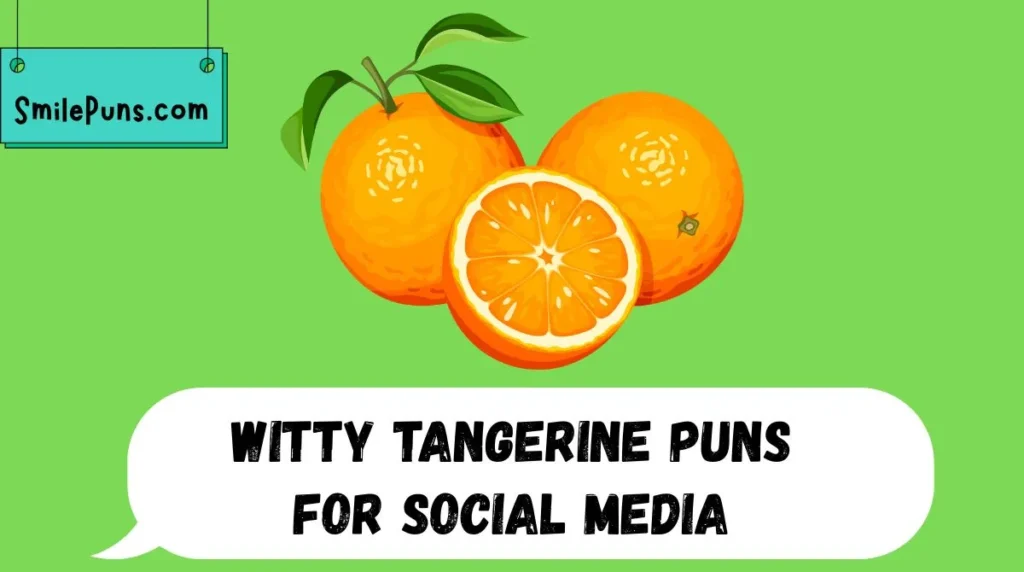 Witty Tangerine Puns for Social Media