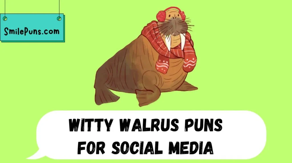 Witty Walrus Puns for Social Media