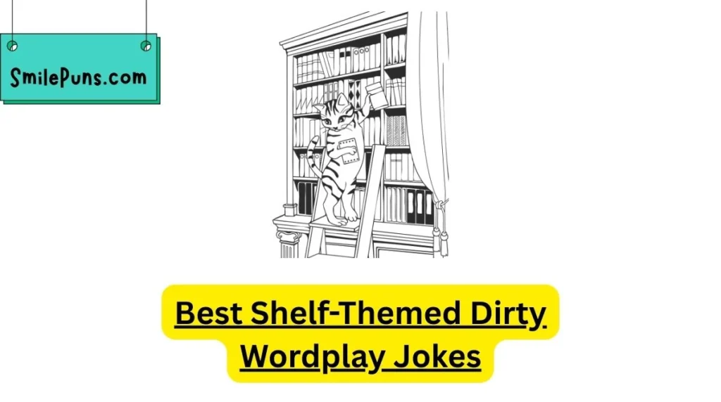 Best Shelf-Themed Dirty Wordplay Jokes
